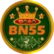 BN55 Game App Icon