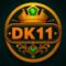 DK11 Game App Icon