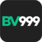 BV999 Game App Icon